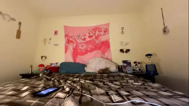 Image 6 of kittyme0ws Stream on Chaturbate on 1 month ago