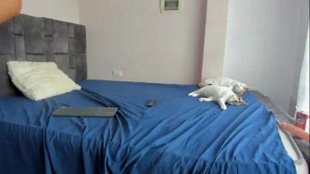 Image 6 of kittymyers Stream on Chaturbate on 1 month ago