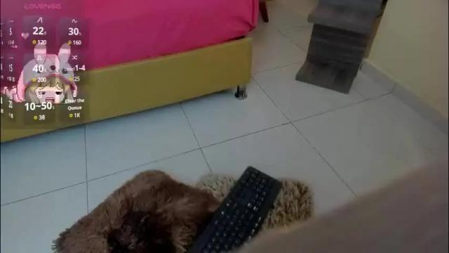 Thumbnail 3, kittytimberlake's Stream at Chaturbate, 2 months ago