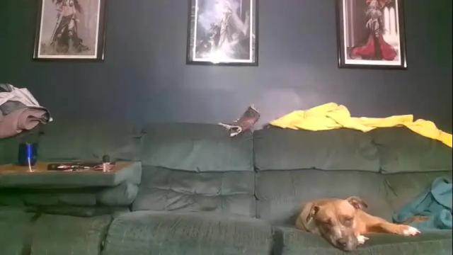Thumbnail 2, kitwithclaws420's Stream at Chaturbate, 21 months ago
