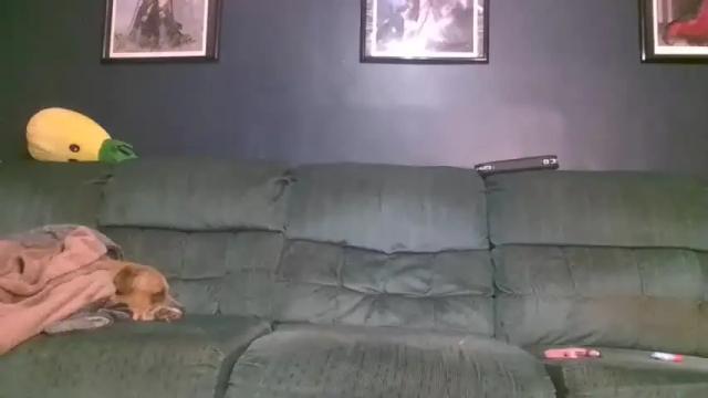 Image 4 of kitwithclaws420 Stream on Chaturbate on 14 months ago