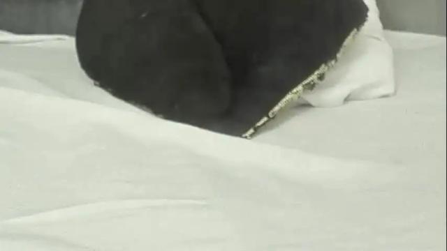 Image 11 of kity_spider Stream on Chaturbate on 1 month ago