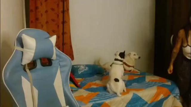 Thumbnail 3, kiyusweetcrazy's Stream at Chaturbate, 2 months ago