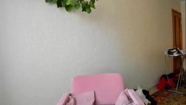 Image 10 of kortny_yo Stream on Chaturbate on 7 days ago