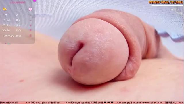 Image 2 of kpetra Stream on Chaturbate on 1 month ago