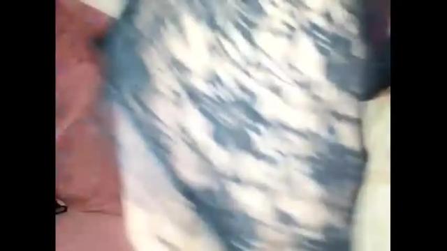 Image 6 of krisssexi Stream on Chaturbate on 20 months ago