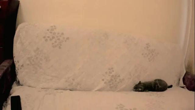 Image 11 of kristina_vagner Stream on Chaturbate on 1 month ago