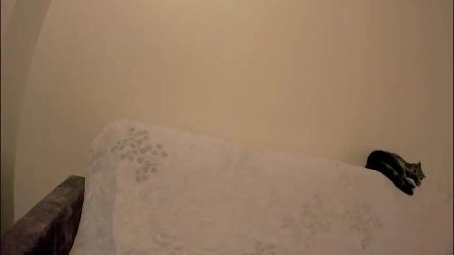 Image 7 of kristina_vagner Stream on Chaturbate on 2 months ago