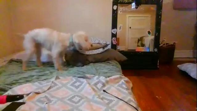 Image 8 of kristycake Stream on Chaturbate on 2 months ago