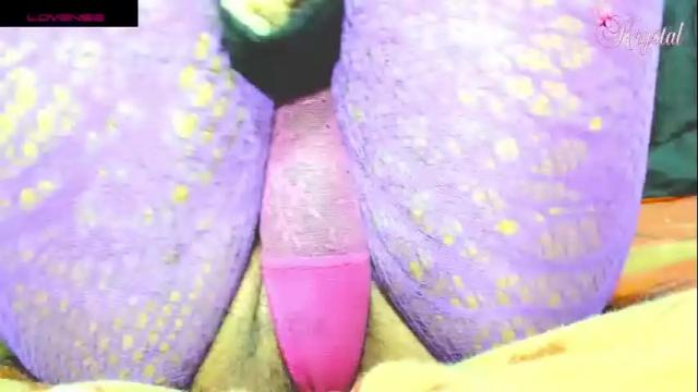 Image 8 of krystarxxx Stream on Chaturbate on 3 months ago