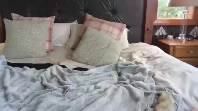 Thumbnail 3, kumfoxlive's Stream at Chaturbate, 12 months ago