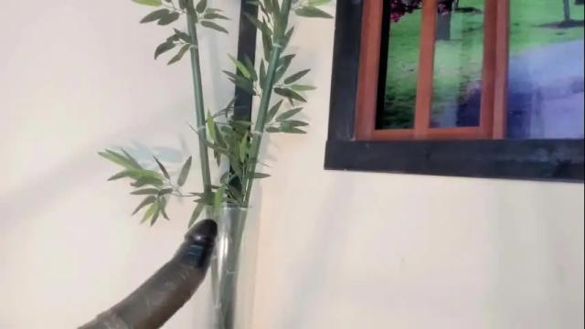Image 8 of la_ratona_1 Stream on Chaturbate on 13 days ago