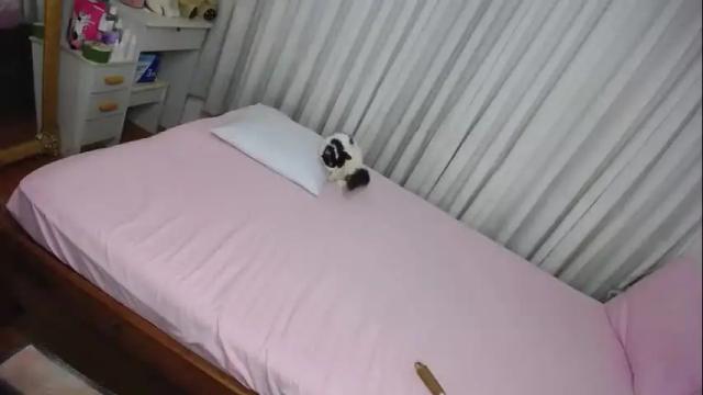 Thumbnail 3, labonita_carla's Stream at Chaturbate, 18 days ago