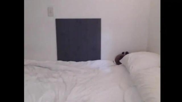 Thumbnail 1, laceyblack42069's Stream at Chaturbate, 1 month ago