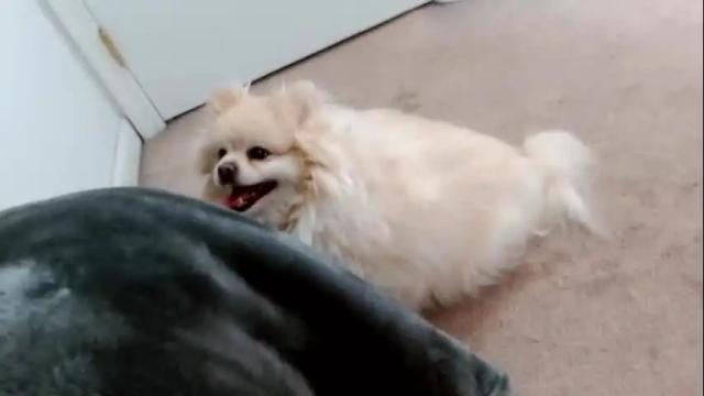 Image 8 of laceyphoenix1 Stream on Chaturbate on 10 days ago