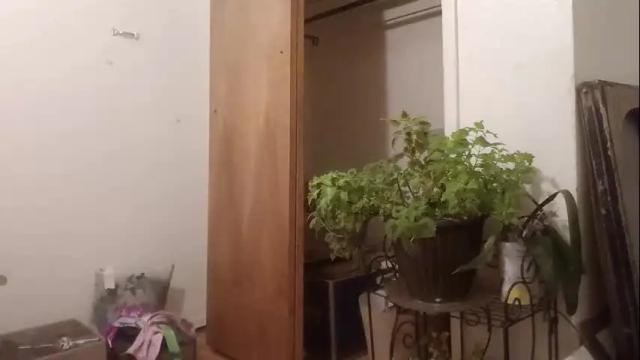 Thumbnail 1, lacybell's Stream at Chaturbate, 4 months ago