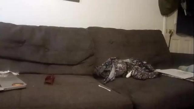 Thumbnail 3, lacybell's Stream at Chaturbate, 4 months ago