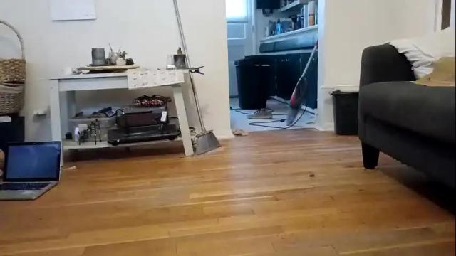 Image 7 of lacybell Stream on Chaturbate on 1 month ago