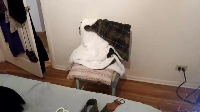 Image 4 of lacybell Stream on Chaturbate on 10 days ago