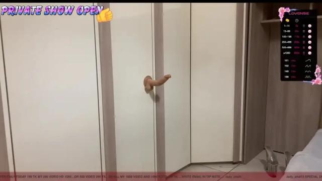 Image 11 of lady_anal Stream on Chaturbate on 3 months ago