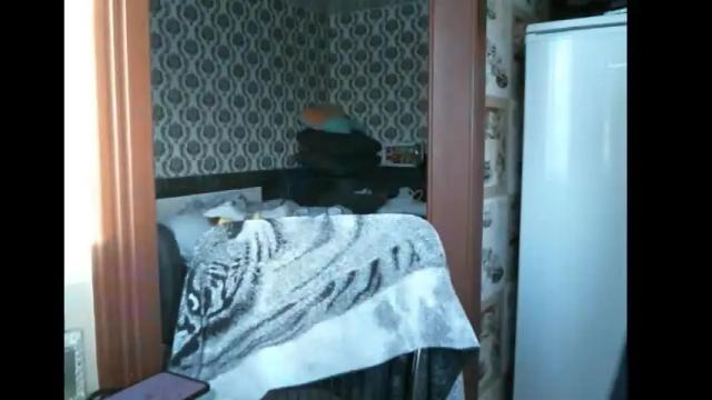 Image 6 of lady_cute_cat Stream on Chaturbate on 1 month ago