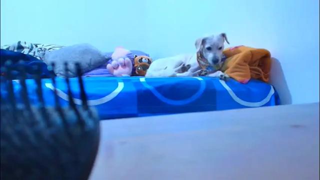 Image 10 of lady_godss Stream on Chaturbate on 4 months ago