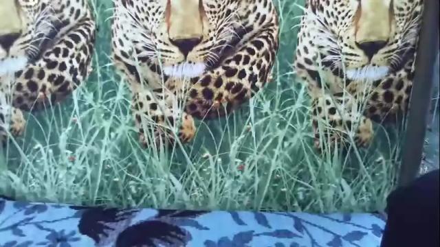 Image 10 of lady_hellene Stream on Chaturbate on 2 days ago