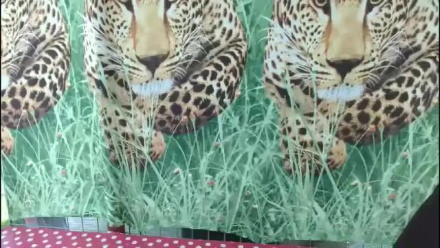 Thumbnail 2, lady_hellene's Stream at Chaturbate, 3 months ago