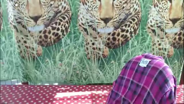 Thumbnail 3, lady_hellene's Stream at Chaturbate, 1 month ago