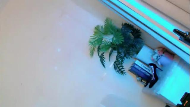 Image 8 of lady_in_black18 Stream on Chaturbate on 1 month ago