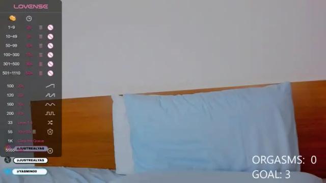 Thumbnail 1, lady_yas's Stream at Chaturbate, 13 months ago