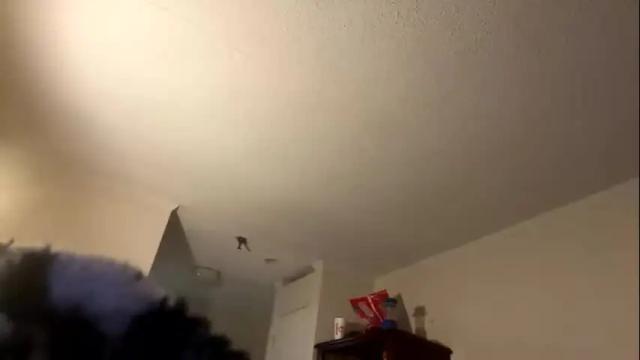 Image 6 of ladybug9097 Stream on Chaturbate on 2 months ago