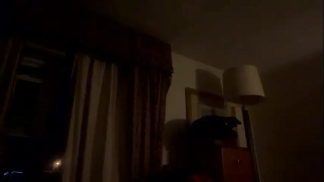Image 12 of ladybug9097 Stream on Chaturbate on 1 month ago