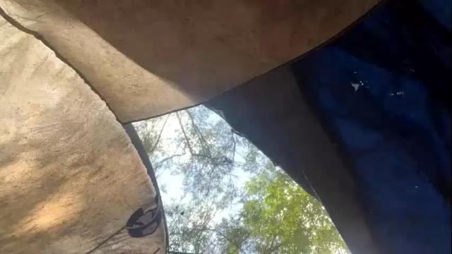 Image 8 of ladybug9097 Stream on Chaturbate on 4 months ago