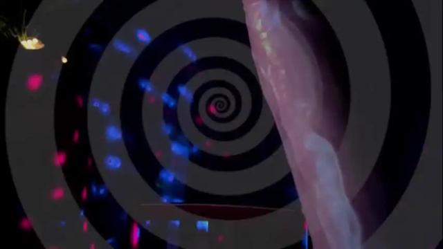 Image 12 of ladysofianeon Stream on Chaturbate on 1 month ago