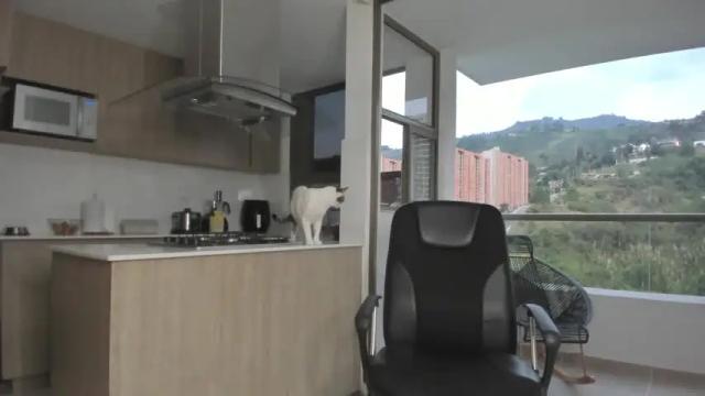 Image 4 of laira_scott Stream on Chaturbate on 19 months ago