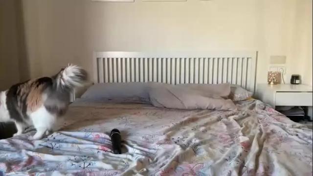 Image 6 of lana_inked Stream on Chaturbate on 29 days ago