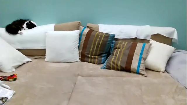 Image 11 of lanaangeldream Stream on Chaturbate on 2 months ago
