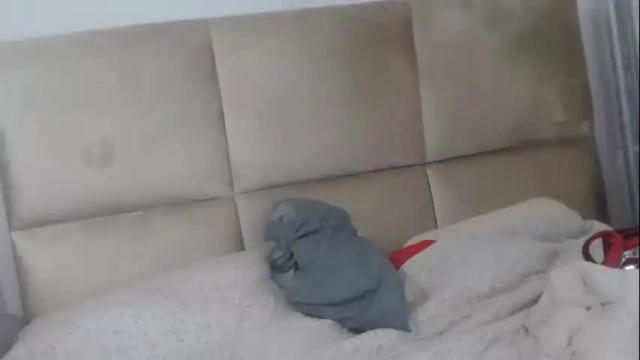 Thumbnail 1, lantti's Stream at Chaturbate, 1 day ago