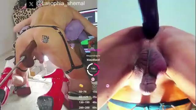 Image 7 of lasophia Stream on Chaturbate on 11 days ago