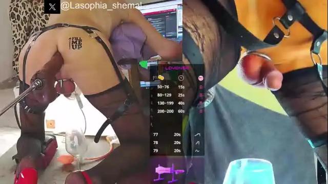 Image 8 of lasophia Stream on Chaturbate on 1 month ago