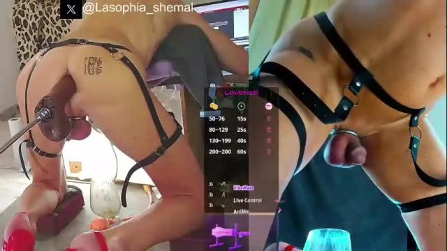 Image 10 of lasophia Stream on Chaturbate on 1 month ago