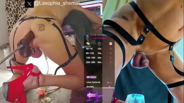 Image 11 of lasophia Stream on Chaturbate on 1 month ago