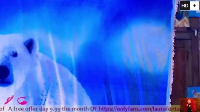 Image 8 of laura_fountain_ Stream on Chaturbate on 12 months ago