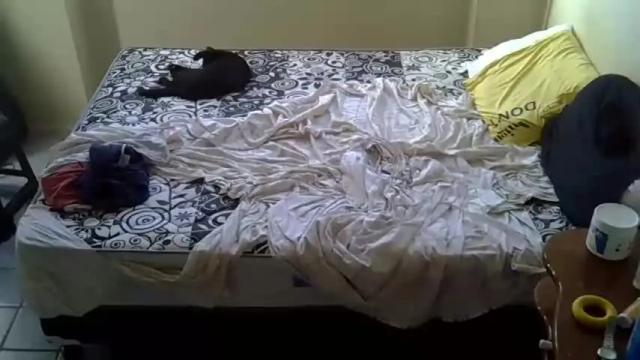 Image 2 of laurabraziliaan Stream on Chaturbate on 20 months ago