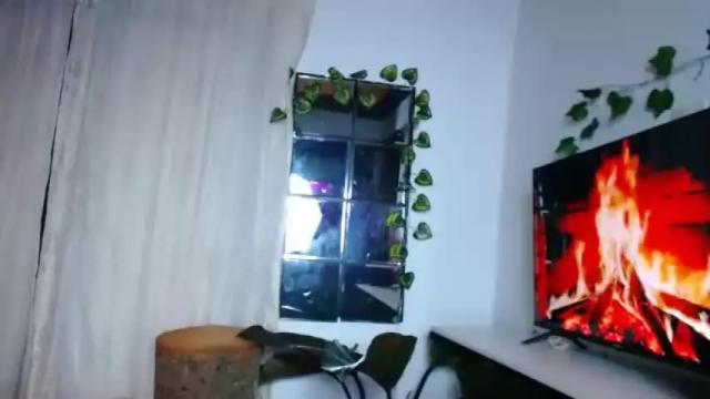 Thumbnail 3, laurenvera_'s Stream at Chaturbate, 14 months ago