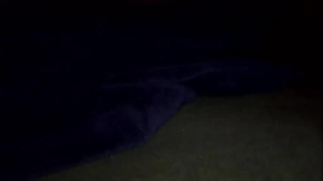 Image 12 of laycee69 Stream on Chaturbate on 2 months ago