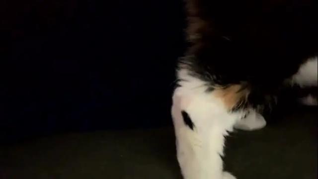 Image 6 of laycee69 Stream on Chaturbate on 2 months ago