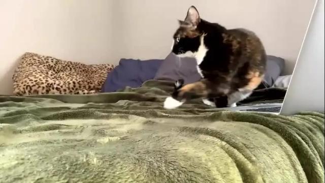 Image 7 of laycee69 Stream on Chaturbate on 2 months ago