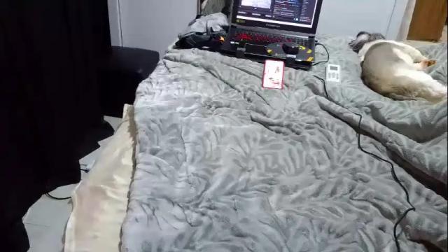 Image 11 of laylabrasil Stream on Chaturbate on 27 days ago